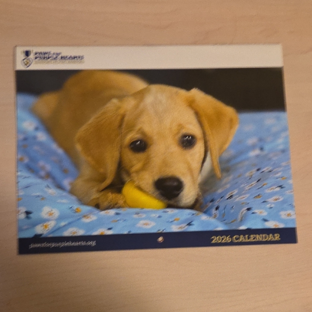 2026 Wall Calendar featuring Puppies and Dogs Raised to Help with PTSD